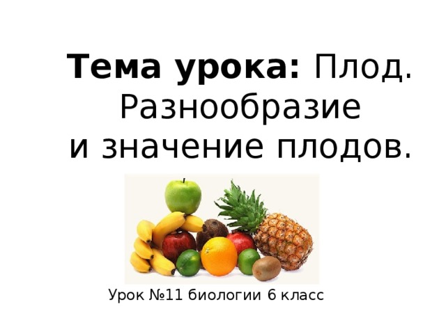 Тест ответами биология плод. Тема урока плоды. Разнообразие и значение плодов 6 класс биология. Плоды урок 6 класс. Плод разнообразие и значение плодов.