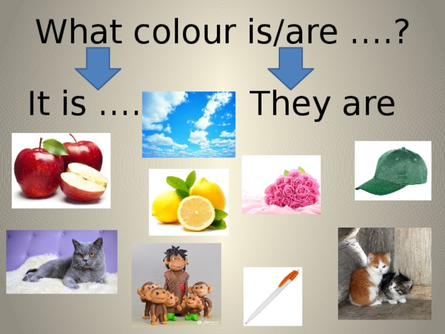 What colour is/are ….? It is ….      They are ….