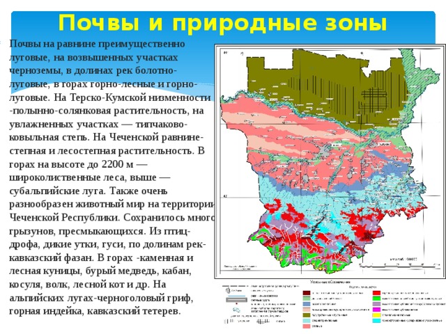 Перечислите почвы природных зон