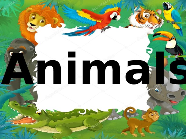 Animals 
