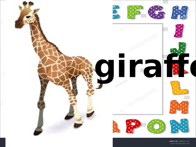 giraffe 