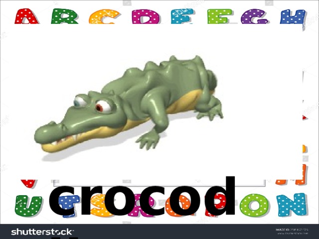 crocodile  