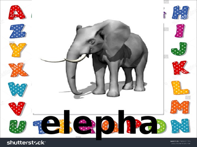 elephant  