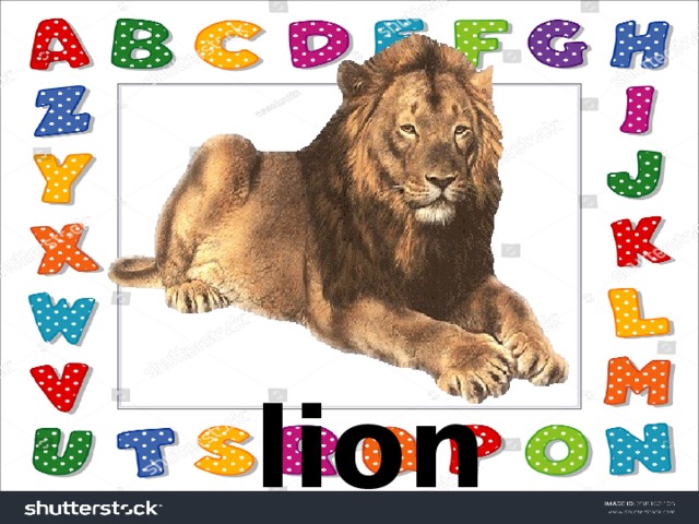 lion  