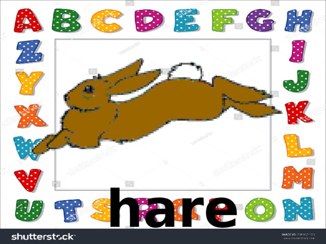 hare  