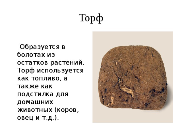 Торф     Образуется в болотах из остатков растений. Торф используется как топливо, а также как подстилка для домашних животных (коров, овец и т.д.). 