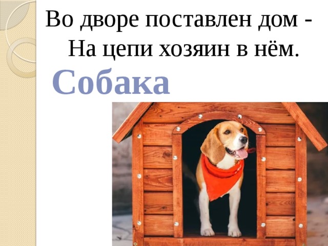 Ставь домашний. Во дворе поставлен дом. Во дворе поставлен дом на цепи хозяин в нем. Загадка во дворе поставлен дом на цепи хозяин в нем. Загадка во дворе поставлен дом.