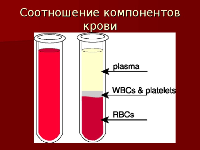 Соотношение компонентов крови 