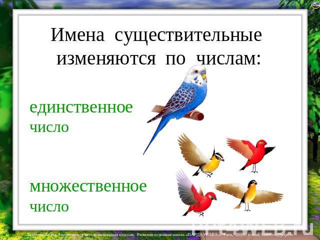 Презентация единственное и множественное число имен существительных