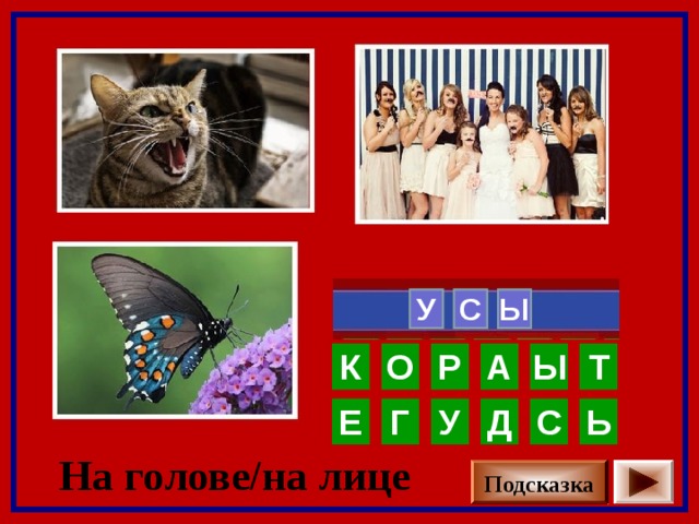    У С Ы Т Ы А Р О К Г У Д Е С Ь На голове/на лице Подсказка 