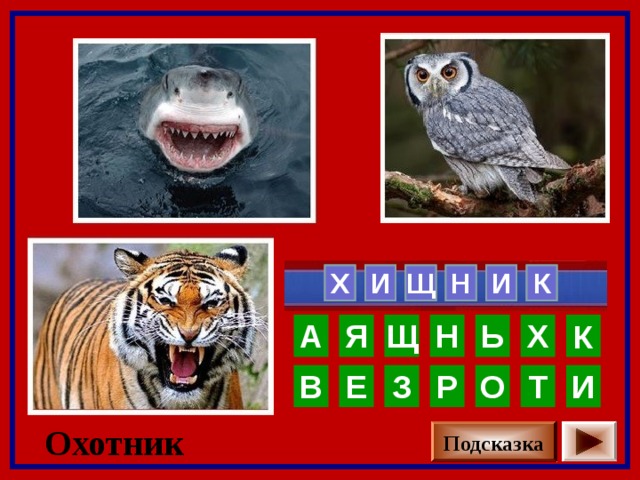 К  И  Н Щ И Х     Щ А Х Ь Н Я К О Р З Т Е В И Охотник Подсказка 