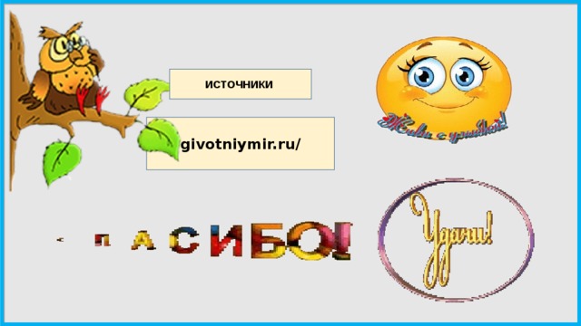 ИСТОЧНИКИ givotniymir.ru/ 