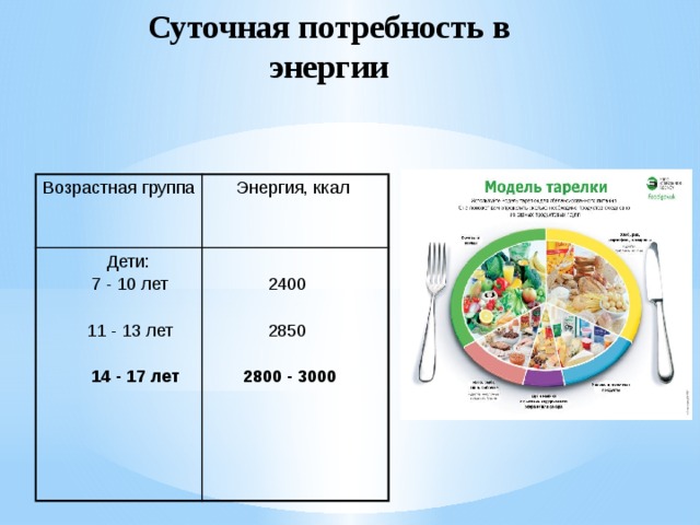 Суточная потребность энергии человека