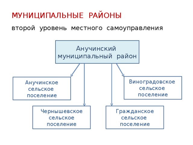 МУНИЦИПАЛЬНЫЕ РАЙОНЫ  второй уровень местного самоуправления Анучинский муниципальный район Виноградовское сельское поселение Анучинское сельское поселение Чернышевское сельское Гражданское сельское поселение поселение 