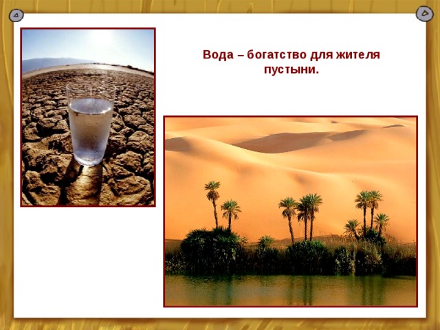 Вода – богатство для жителя пустыни. 