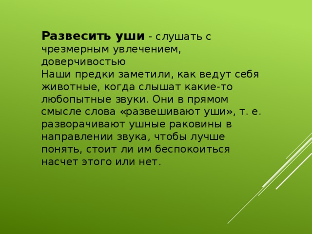 Уши развесил значение. Развесить уши значение фразеологизма. Фразеологизм развесить уши. Развесив уши фразеологизм. Развесить уши происхождение фразеологизма.