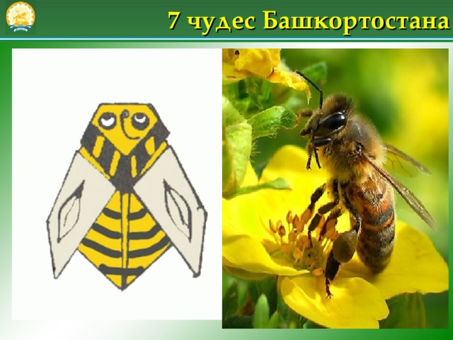 7 чудес Башкортостана 