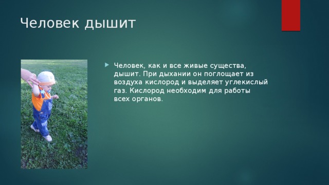 Кислород необходим для дыхания. Как дышит человек. Как человек выдыхает. Для чего человек дышит. Углекислый ГАЗ необходим для дыхания человека.