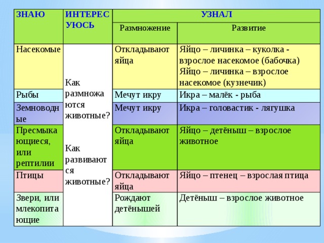 Размножение и развитие животных презентация 3 класс