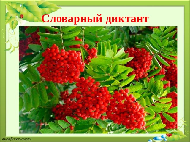 Словарный диктант 