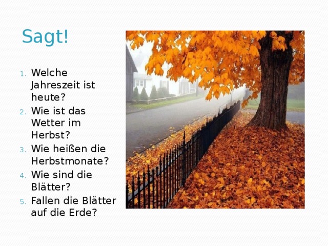 Sagt! Welche Jahreszeit ist heute? Wie ist das Wetter im Herbst? Wie heißen die Herbstmonate? Wie sind die Blätter? Fallen die Blätter auf die Erde? 