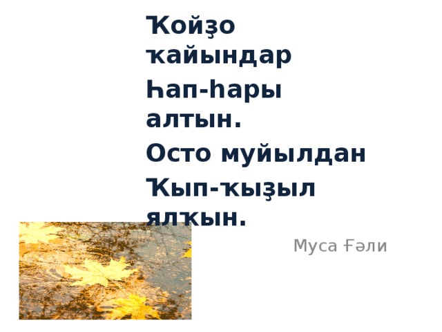 Ҡойҙо ҡайындар Һап-һары алтын. Осто муйылдан Ҡып-ҡыҙыл ялҡын. Муса Ғәли 