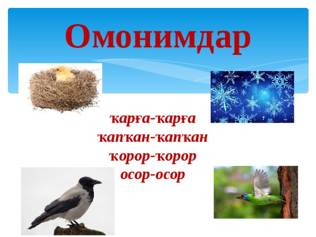Антонимы на башкирском языке примеры Омонимы (на башкирском языке)
