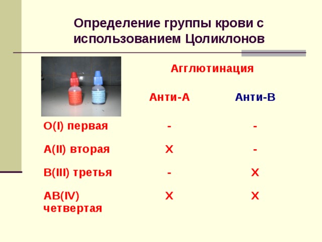 Определение группы крови с использованием Цоликлонов А( II ) вторая В( III ) третья АВ( IV ) 