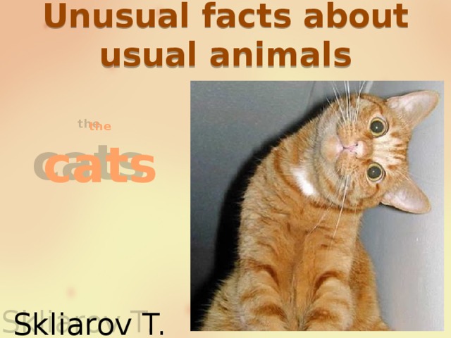 Unusual facts about usual animals the  cats Skliarov T. 6B 