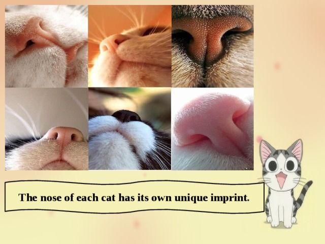 The nose of each cat has its own unique imprint . 