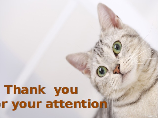  Thank you  for your attention 