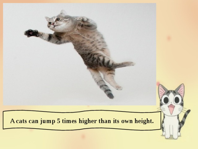 A cats can jump 5 times higher than its own height. 