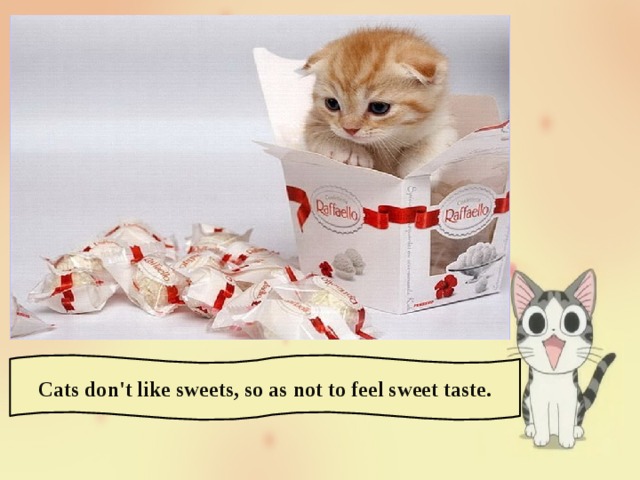 Cats don't like sweets, so as not to feel sweet taste. 