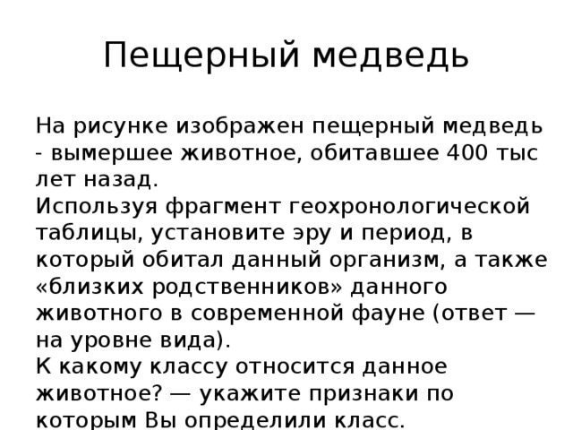 пещерный медведь на рисунке изображен пещерный медведь - вымершее животное, обитавшее 400 тыс лет назад. используя фрагмент геохронологической таблицы, установите эру и период, в который обитал данный организм, а также «близких родственников» данного животного в современной фауне (ответ — на уровне вида). к какому классу относится данное животное? — укажите признаки по которым вы определили класс. 