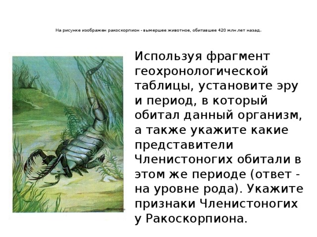  на рисунке изображен ракоскорпион - вымершее животное, обитавшее 420 млн лет назад . используя фрагмент геохронологической таблицы, установите эру и период, в который обитал данный организм, а также укажите какие представители членистоногих обитали в этом же периоде (ответ - на уровне рода). укажите признаки членистоногих у ракоскорпиона. 