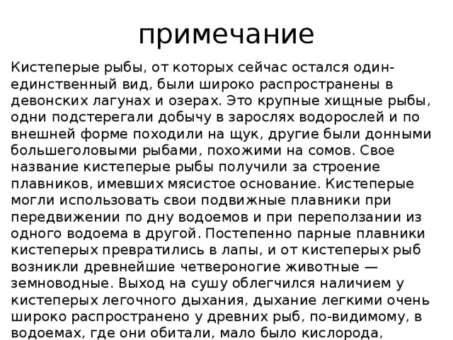 примечание кистеперые рыбы, от которых сейчас остался один-единственный вид, были широко распространены в девонских лагунах и озерах. это крупные хищные рыбы, одни подстерегали добычу в зарослях водорослей и по внешней форме походили на щук, другие были донными большеголовыми рыбами, похожими на сомов. свое название кистеперые рыбы получили за строение плавников, имевших мясистое основание. кистеперые могли использовать свои подвижные плавники при передвижении по дну водоемов и при переползании из одного водоема в другой. постепенно парные плавники кистеперых превратились в лапы, и от кистеперых рыб возникли древнейшие четвероногие животные — земноводные. выход на сушу облегчился наличием у кистеперых легочного дыхания, дыхание легкими очень широко распространено у древних рыб, по-видимому, в водоемах, где они обитали, мало было кислорода, растворенного в воде. изображенные на открытке кистеперые рыбы жили в конце девонского периода, около 370 миллионов лет назад. 