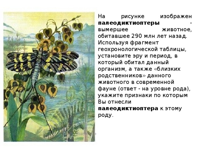 на рисунке изображен палеодиктиоптеры - вымершее животное, обитавшее 290 млн лет назад. используя фрагмент геохронологической таблицы, установите эру и период, в который обитал данный организм, а также «близких родственников» данного животного в современной фауне (ответ - на уровне рода), укажите признаки по которым вы отнесли палеодиктиоптера к этому роду. 