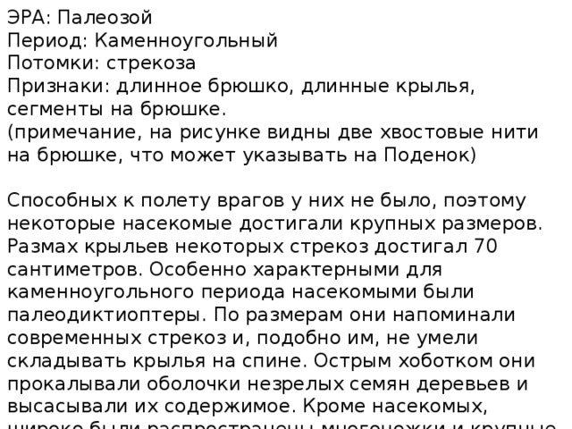 эра: палеозой период: каменноугольный потомки: стрекоза признаки: длинное брюшко, длинные крылья, сегменты на брюшке. (примечание, на рисунке видны две хвостовые нити на брюшке, что может указывать на поденок) способных к полету врагов у них не было, поэтому некоторые насекомые достигали крупных размеров. размах крыльев некоторых стрекоз достигал 70 сантиметров. особенно характерными для каменноугольного периода насекомыми были палеодиктиоптеры. по размерам они напоминали современных стрекоз и, подобно им, не умели складывать крылья на спине. острым хоботком они прокалывали оболочки незрелых семян деревьев и высасывали их содержимое. кроме насекомых, широко были распространены многоножки и крупные панцирные пауки. 