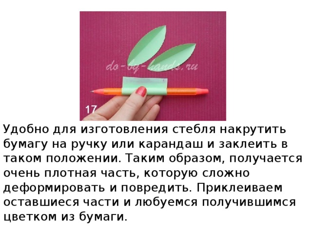 Удобно для изготовления стебля накрутить бумагу на ручку или карандаш и заклеить в таком положении. Таким образом, получается очень плотная часть, которую сложно деформировать и повредить. Приклеиваем оставшиеся части и любуемся получившимся цветком из бумаги.    