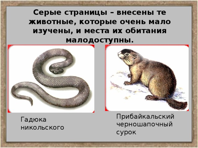 Серые страницы красной книги примеры растений