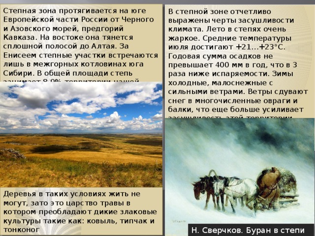 Степная зона протягивается на юге Европейской части России от Черного и Азовского морей, предгорий Кавказа. На востоке она тянется сплошной полосой до Алтая. За Енисеем степные участки встречаются лишь в межгорных котловинах юга Сибири. В общей площади степь занимает 8-9% территории нашей страны. В степной зоне отчетливо выражены черты засушливости климата. Лето в степях очень жаркое. Средние температуры июля достигают +21…+23°С. Годовая сумма осадков не превышает 400 мм в год, что в 3 раза ниже испаряемости. Зимы холодные, малоснежные с сильными ветрами. Ветры сдувают снег в многочисленные овраги и балки, что еще больше усиливает засушливость этой территории. Сильные степные ветра с метелью в зимнее время года называются - бураны Деревья в таких условиях жить не могут, зато это царство травы в котором преобладают дикие злаковые культуры такие как: ковыль, типчак и тонконог Н. Сверчков. Буран в степи 1873 