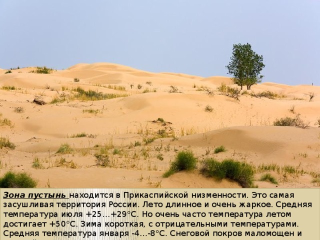 Зона пустынь находится в Прикаспийской низменности. Это самая засушливая территория России. Лето длинное и очень жаркое. Средняя температура июля +25…+29°С. Но очень часто температура летом достигает +50°С. Зима короткая, с отрицательными температурами. Средняя температура января -4…-8°С. Снеговой покров маломощен и неустойчив. Годовая сумма осадков составляет 150 — 200 мм. 