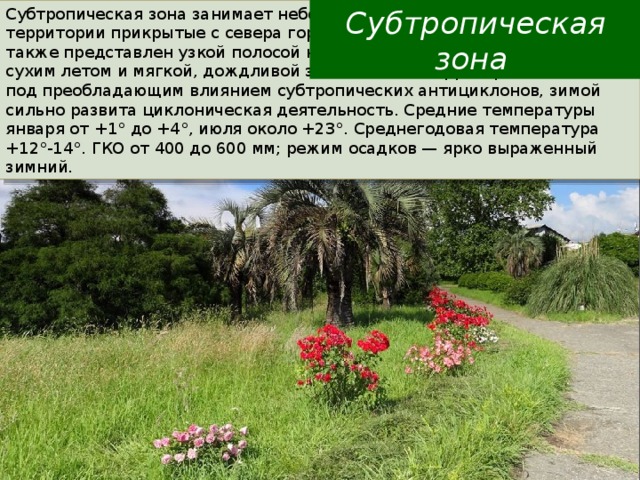 Субтропики расположение. Субтропики природная зона. Растительность субтропиков. Климат субтропиков в России.