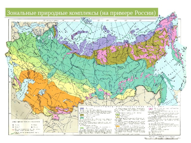 Географическое расположение и климатические условия пчелоугодий россии Природные зоны России