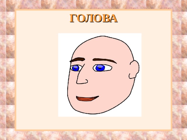 ГОЛОВА 