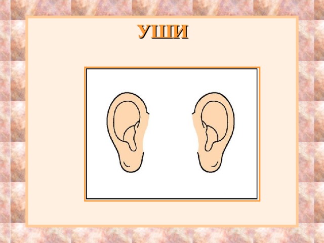 УШИ 