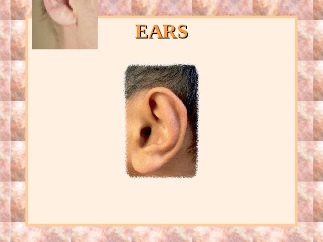 EARS 
