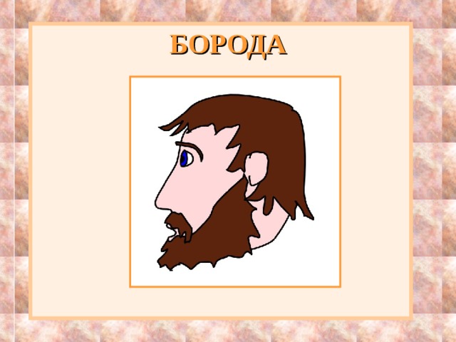 БОРОДА 