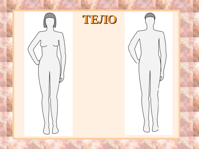 ТЕЛО 