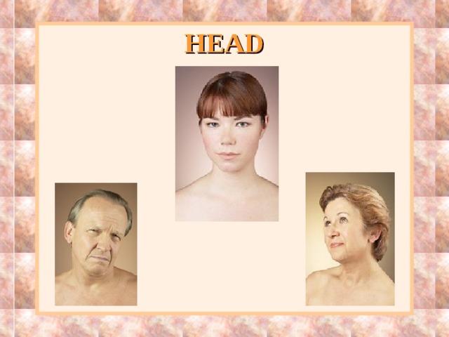 HEAD 